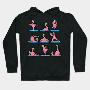 Funny Flamingo Yoga Hoodie